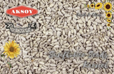 25kg Sunflower Seed Kernels - Premium Bulk Buy - Aksoy UK