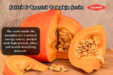roasted salted pumpkin seeds quality 